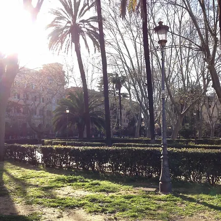 Girasole
