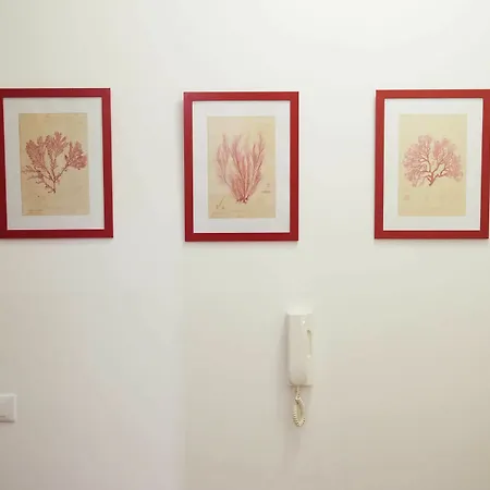 Guest house True Colors Rome