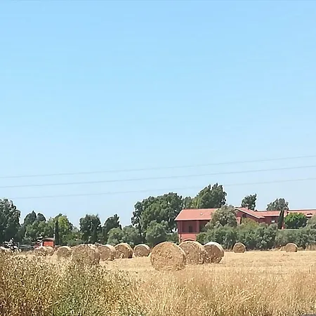 Ila In Fiera Rzym
