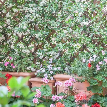 Monti Garden Maison d'hôtes Rome