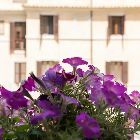 Buongiorno Colosseo Apartment Rome