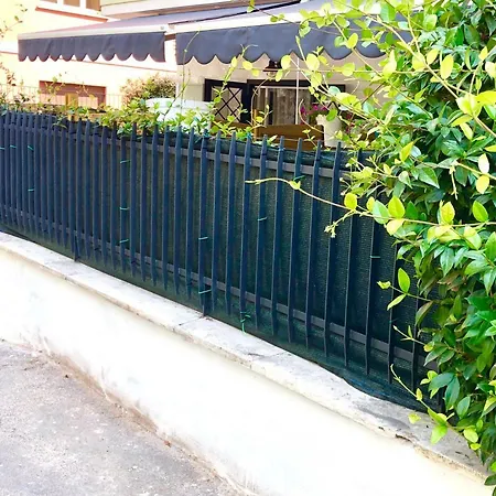 Il Gelsomino Blu