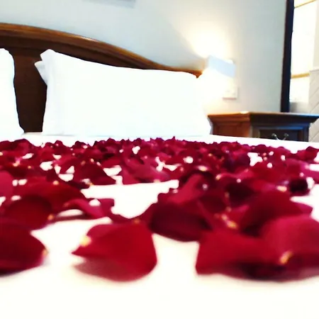 Hotel Garden 3*