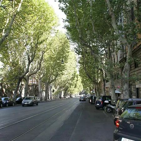 Muller Guest house 3*