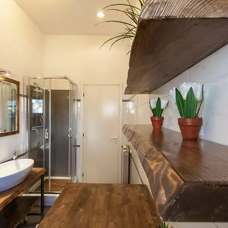 Boutique Domus Trastevere Vascellari Rome