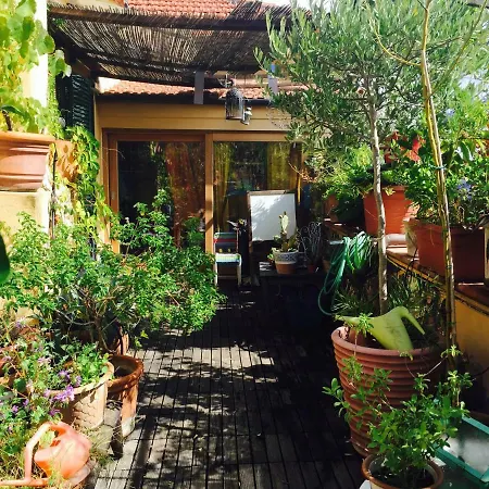 San Saba Roof Garden
