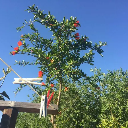 San Saba Roof Garden Holiday home *