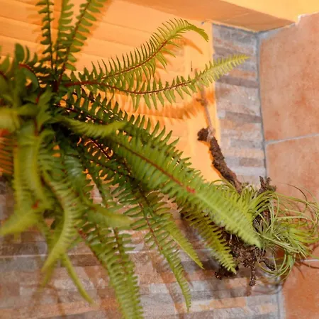 Bed & Breakfast Tulliola Rome