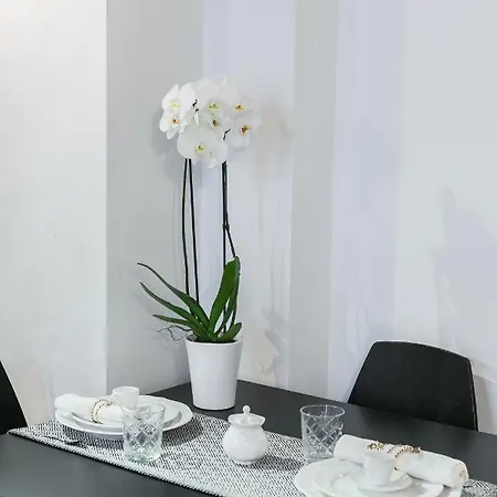 Apartment Diana Luxury Loft