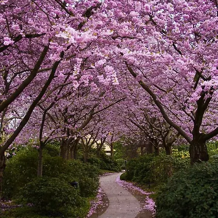 Parco Delle Perle * Rome