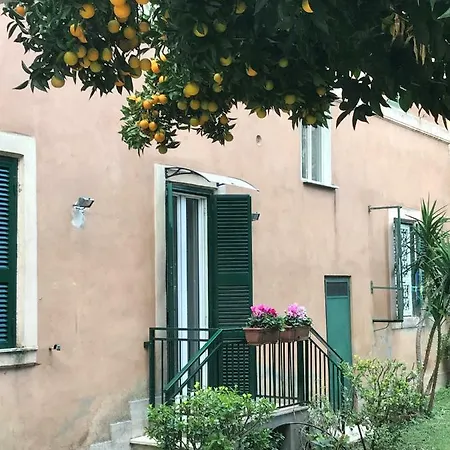 La Casa Del Nespolo Rome