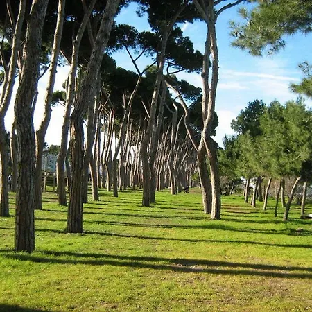 Casa Verde Pineta Roma