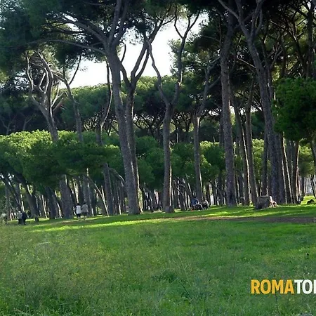 Casa Verde Pineta * Roma
