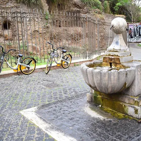 Le Rondini A Rome