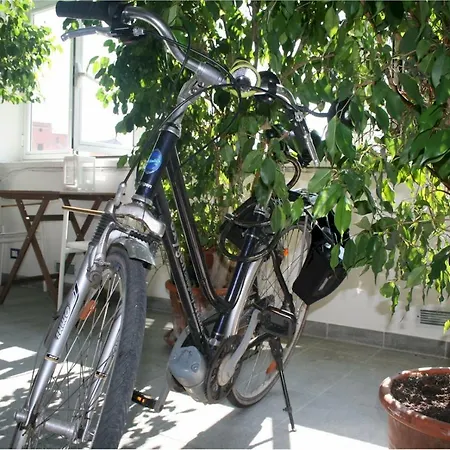 Apartments Rusconi
