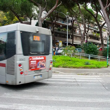 Affittacamere Papera Roma
