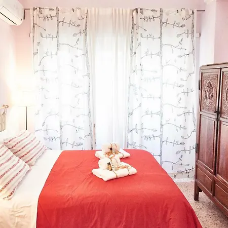 Cipro Apartment Apartment