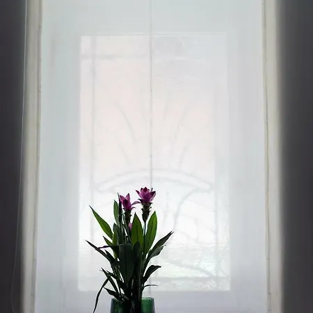 Apartmán Spanish Steps 3 Bedrooms Cozy,elegant And Řím