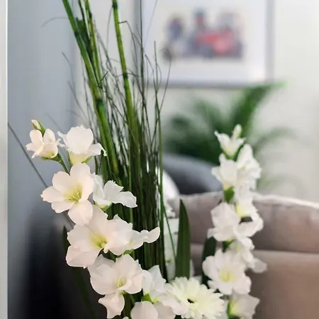Spanish Steps 3 Bedrooms Cozy,elegant And