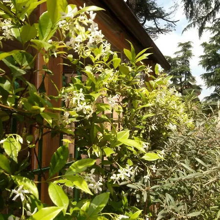 A Casa Di Edi Apartment *