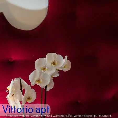 Apartment Corso Vittorio Rome