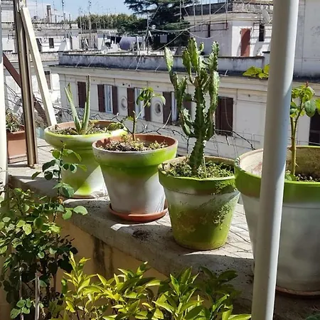 Apartment Robta's Dream