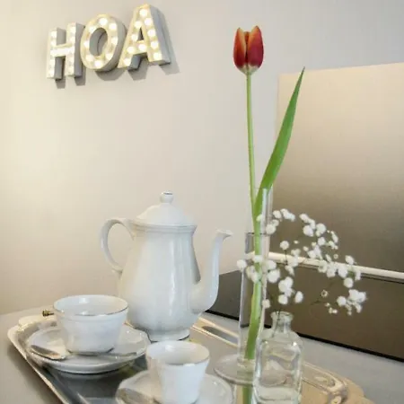 Hoa Guest house *
