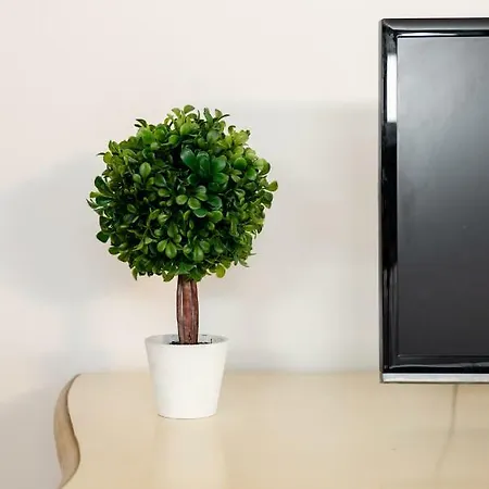 Apartamento Maison Leonardo Roma