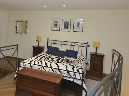 Il Loft Di Carola Apartment *
