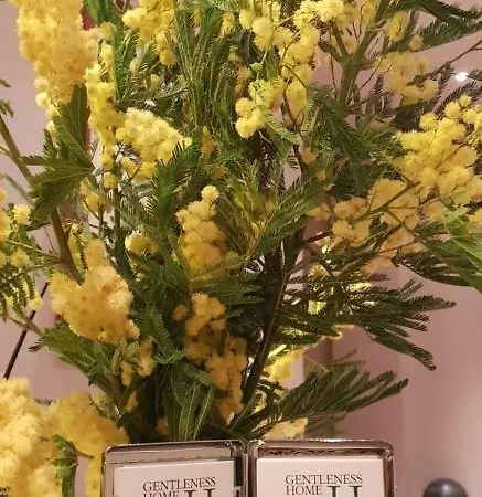 Gentleness Bed & Breakfast