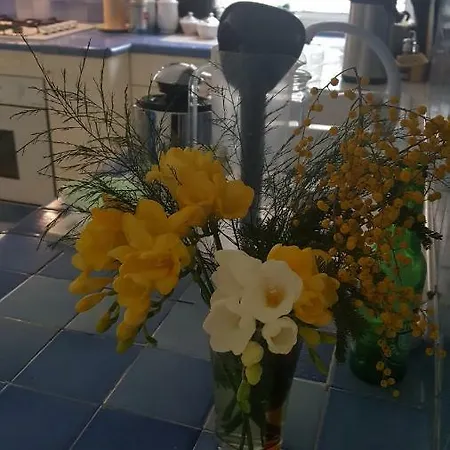 Bed & Breakfast Orsini Rome