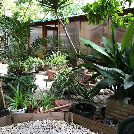 La Casa Di Elena Penzion *