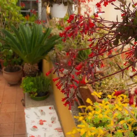 Apartment Fiore