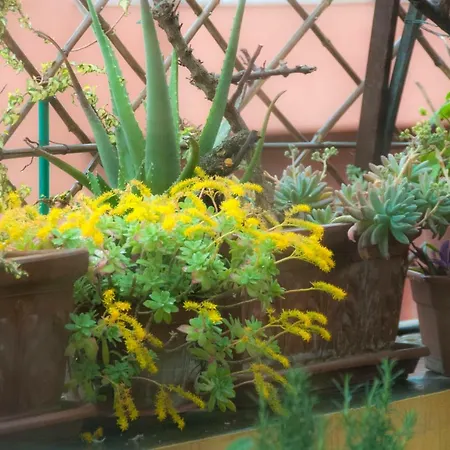 Apartment Fiore *