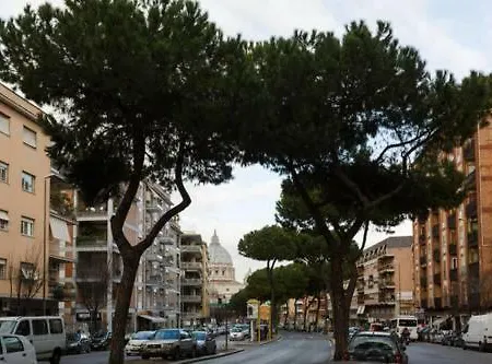 Abemus In San Pietro
