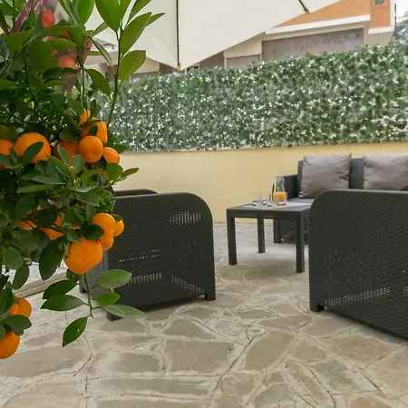 Daire Il Giardino Degli Agrumi - *