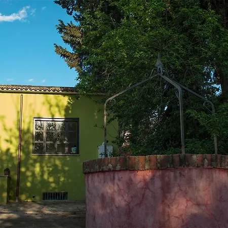 Stanza Nuova Con Giardino Homestay Rome