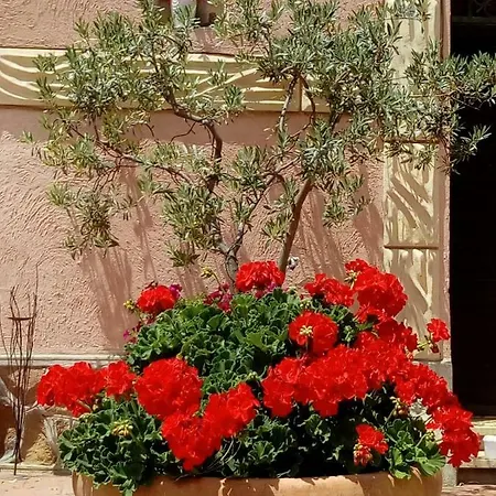 - Quarto Del Cuore Alloggio per agriturismo Roma