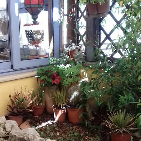 L'attico Incantato - A San Pietro - Holiday home Rome