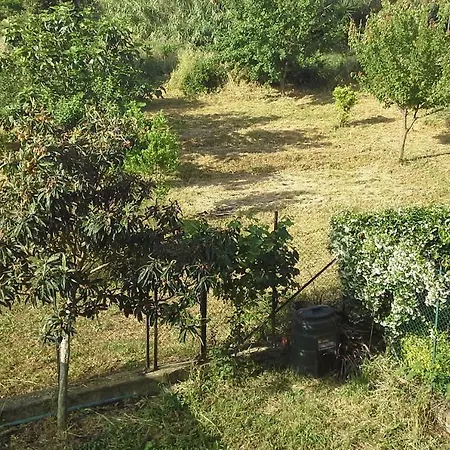 Spazio E Tranquillita A *