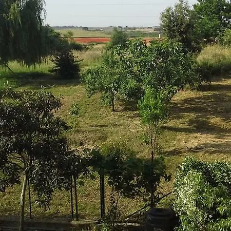 Spazio E Tranquillità A Roma