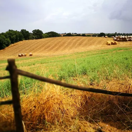 Farm stay Ars Naturae *