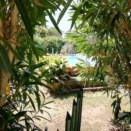 Appia Antica Guest house Rome