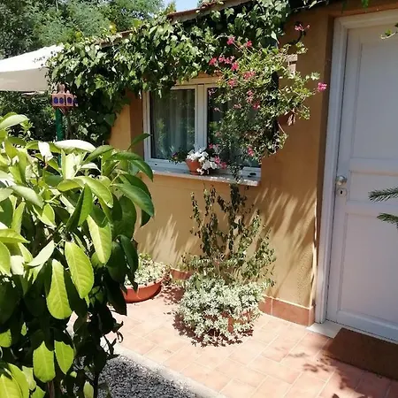 Appia Antica Guest house