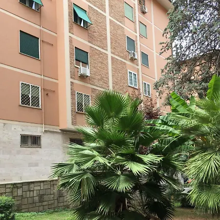 Eucalyptus - San Paolo - * Roma