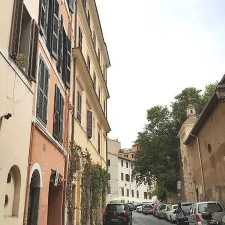 Guest Colosseo *