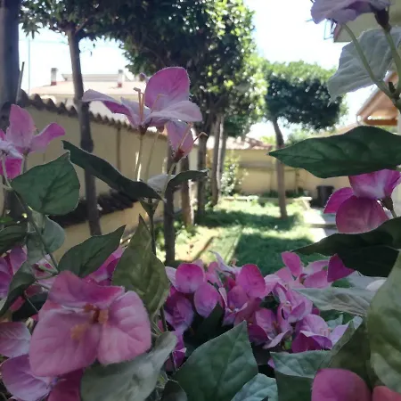 Tourist House Ostia Antica *