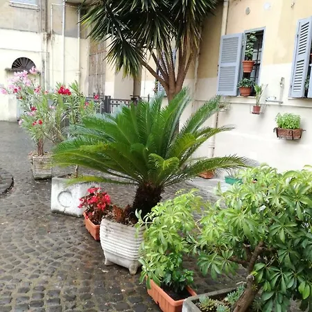 Habitación en casa particular Trastevere, What Else... *
