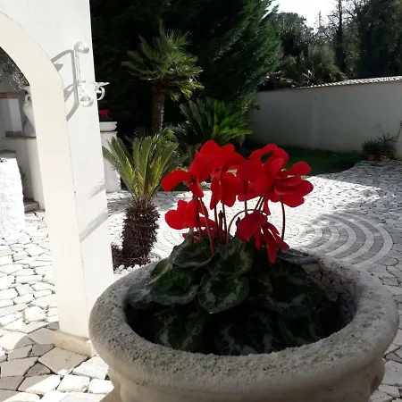 Casa vacanze Romana Roma