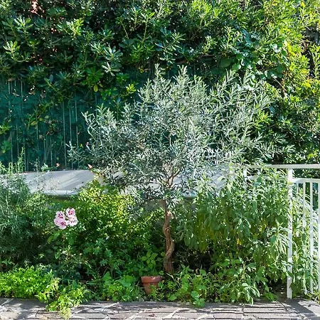 Apartment Casa Ceroni Rome